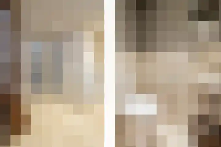 Standerdmolen 18 Papendrecht thumbnail 7
