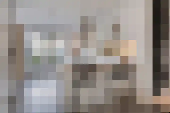 Standerdmolen 19 Gemert thumbnail 15