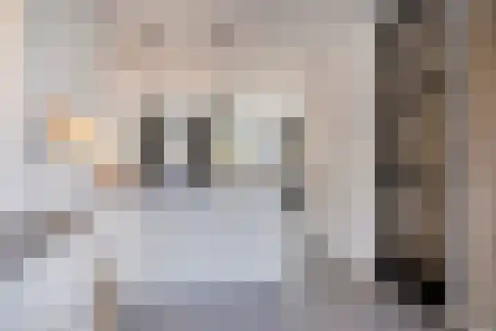 Standerdmolen 19 Gemert thumbnail 17