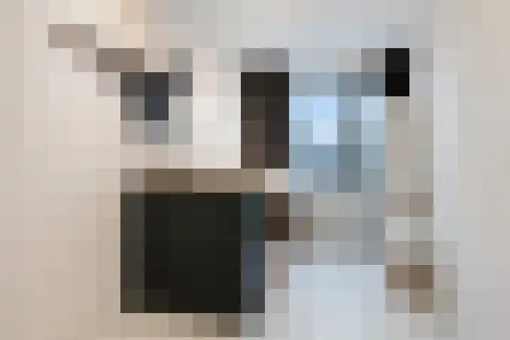 Standerdmolen 19 Gemert thumbnail 23