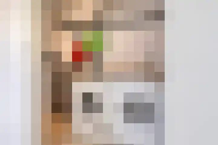 Standerdmolen 19 Gemert thumbnail 31