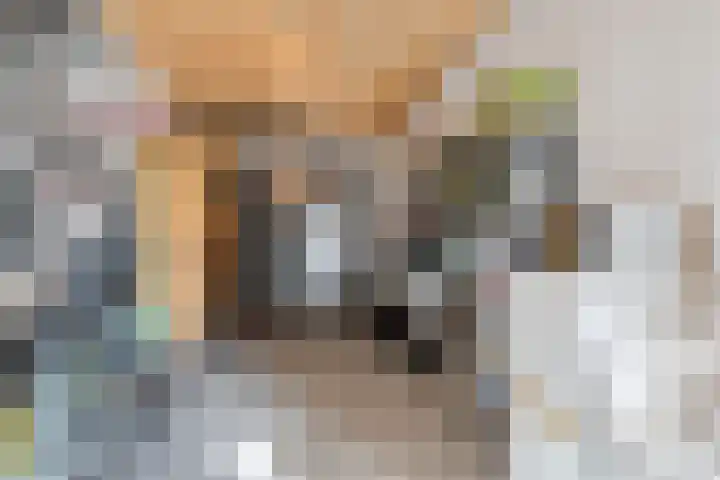 Standerdmolen 19 Gemert thumbnail 32