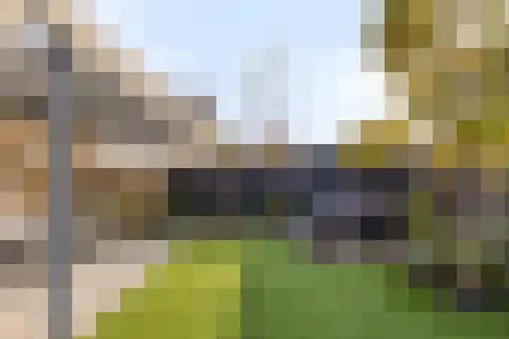 Standerdmolen 19 Gemert thumbnail 35