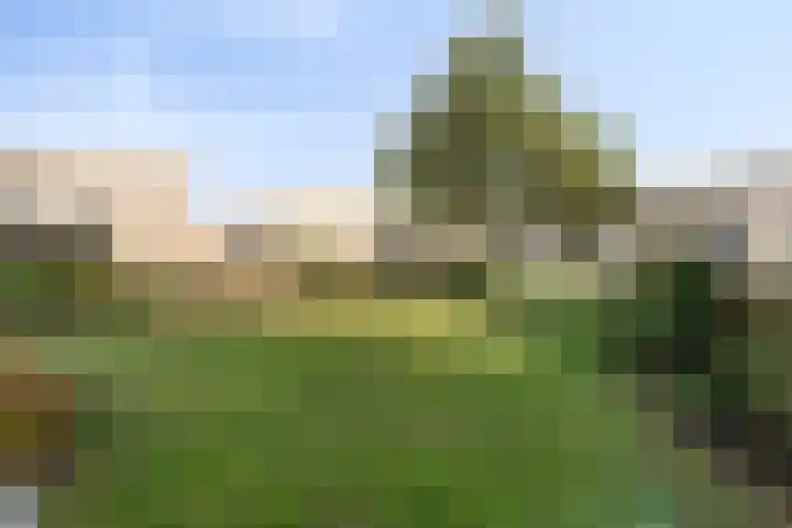 Standerdmolen 19 Gemert thumbnail 36