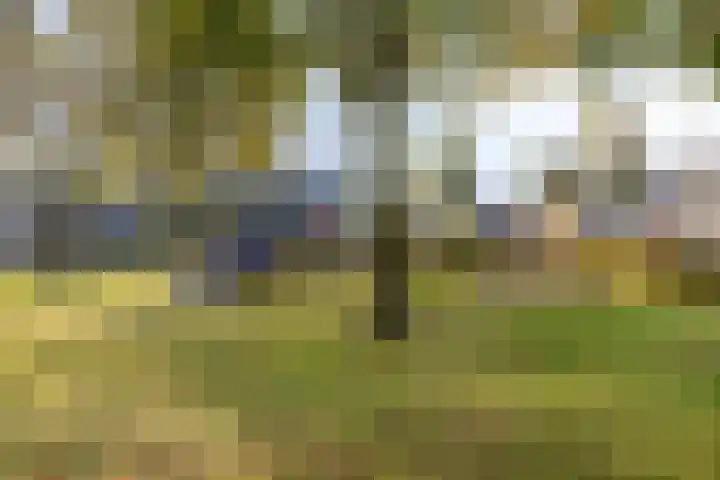 Standerdmolen 19 Gemert thumbnail 38