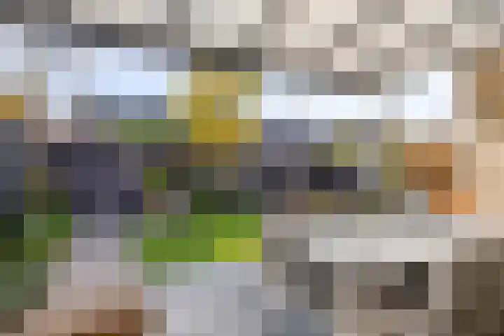 Standerdmolen 19 Gemert thumbnail 5