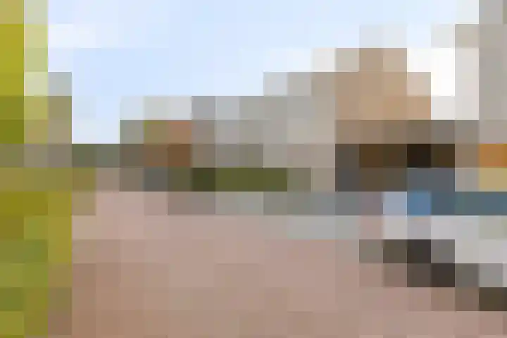 Standerdmolen 19 Gemert thumbnail 7