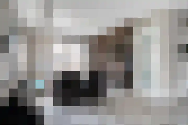 Standerdmolen 2 Gemert thumbnail 11