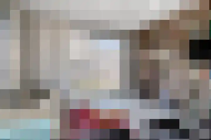 Standerdmolen 2 Gemert thumbnail 12
