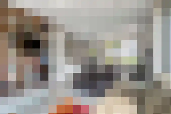 Standerdmolen 2 Gemert thumbnail 14