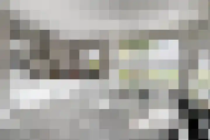 Standerdmolen 2 Gemert thumbnail 15