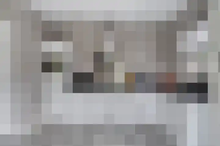 Standerdmolen 2 Gemert thumbnail 18