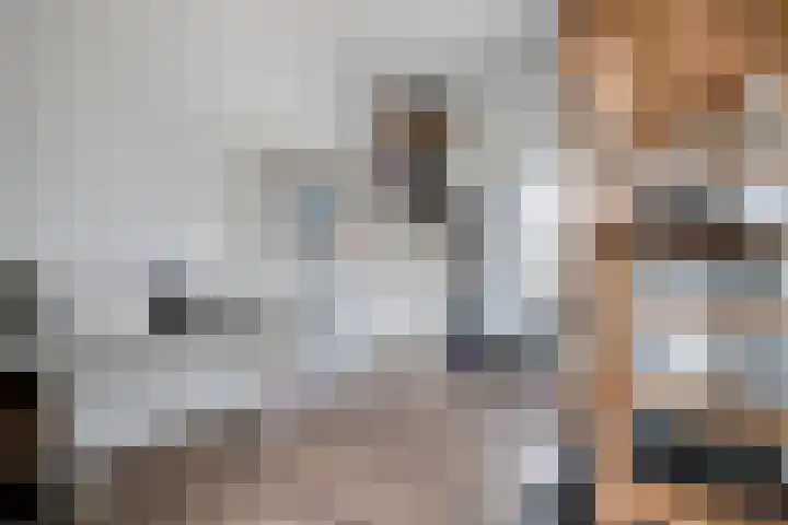 Standerdmolen 2 Gemert thumbnail 24