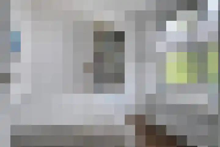 Standerdmolen 2 Gemert thumbnail 26