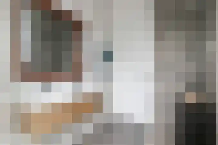 Standerdmolen 2 Gemert thumbnail 28