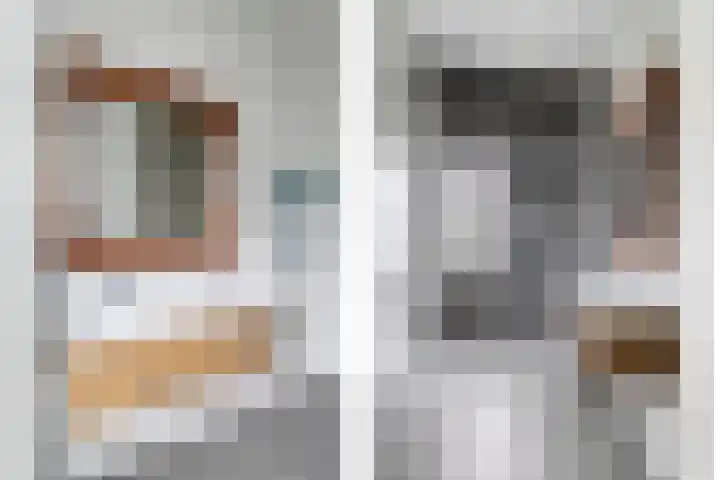 Standerdmolen 2 Gemert thumbnail 29