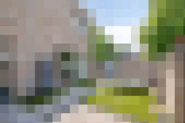 Standerdmolen 2 Gemert thumbnail 31