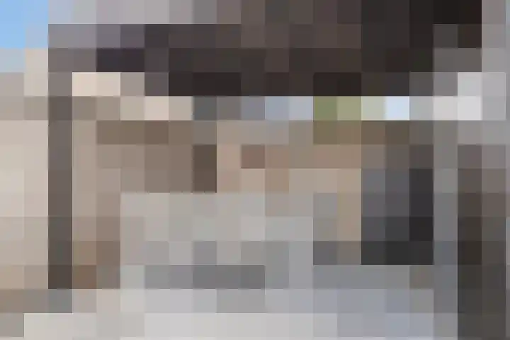Standerdmolen 2 Gemert thumbnail 34