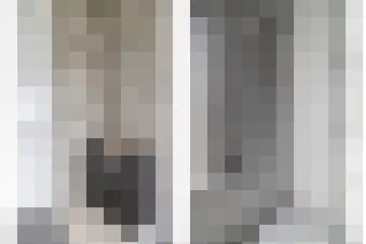 Standerdmolen 2 Gemert thumbnail 4