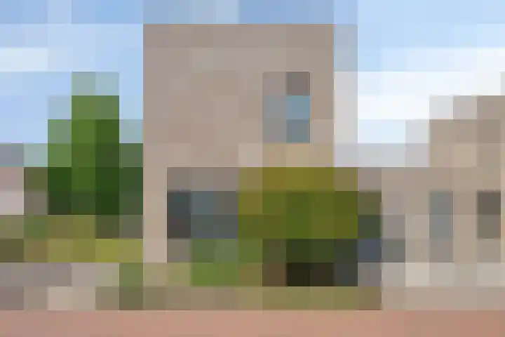 Standerdmolen 2 Gemert thumbnail 7
