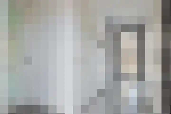 Standerdmolen 2 Gemert thumbnail 8