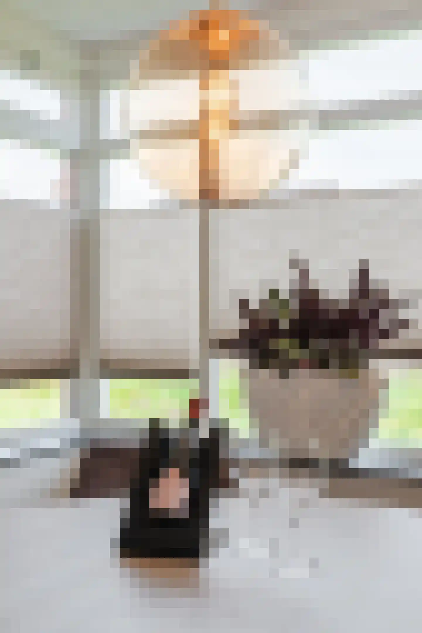 Standerdmolen 2 Loosbroek thumbnail 13