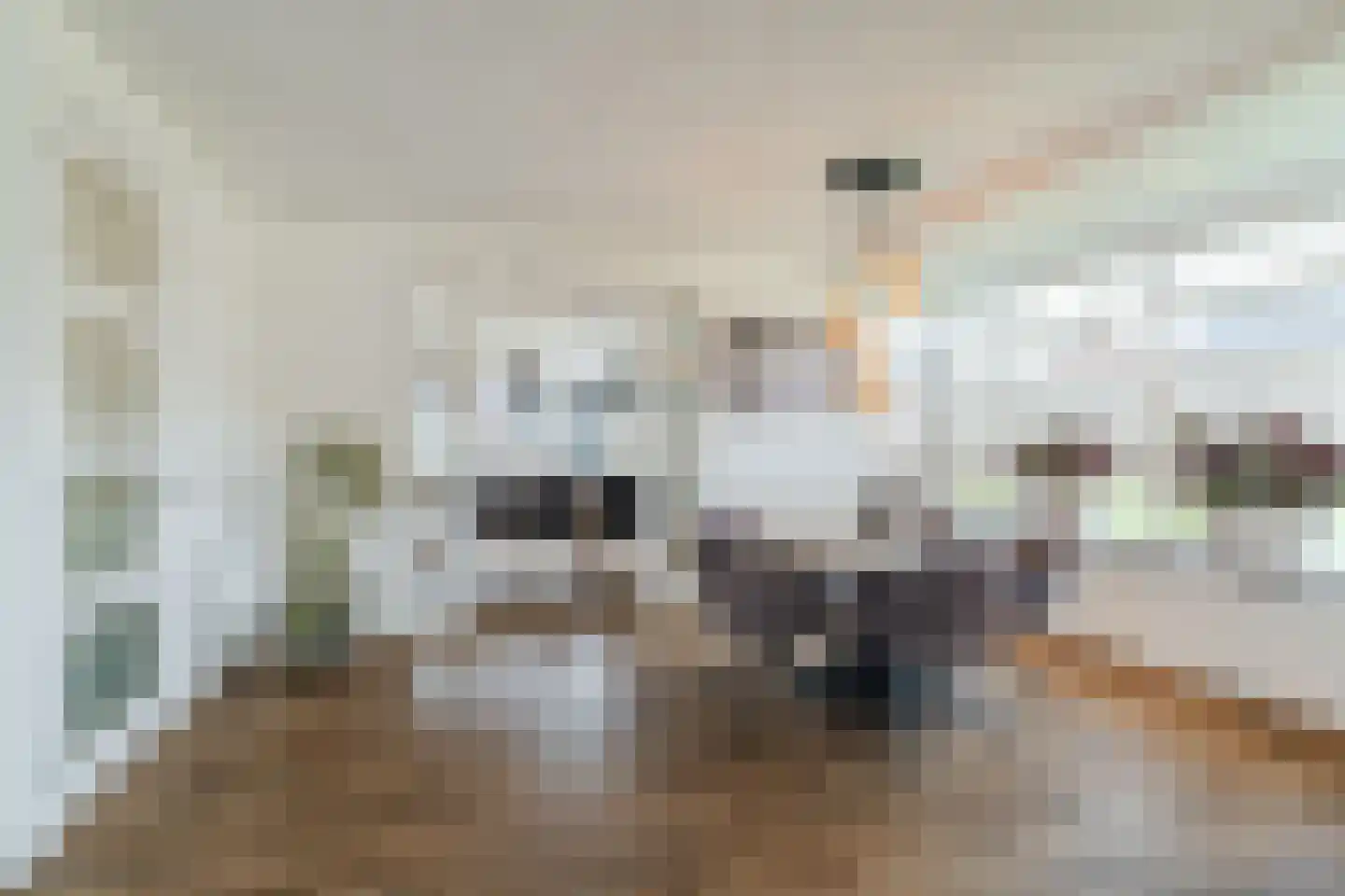 Standerdmolen 2 Loosbroek thumbnail 14