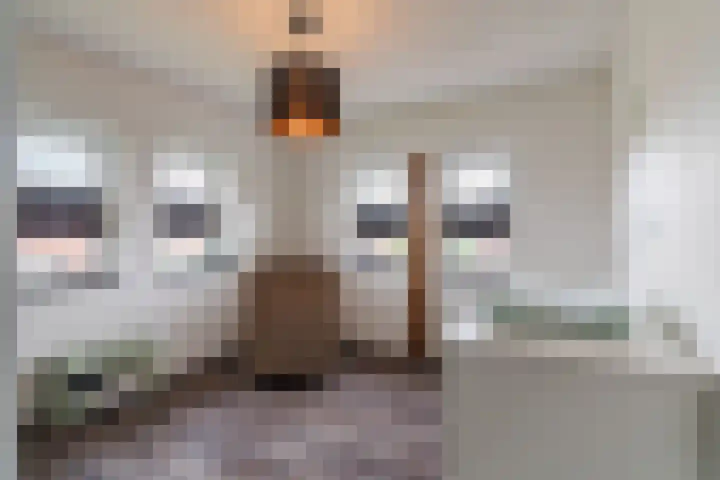 Standerdmolen 2 Loosbroek thumbnail 31