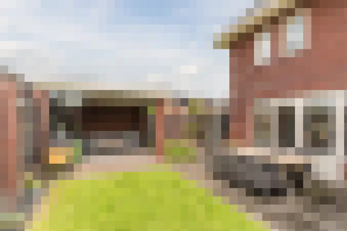Standerdmolen 2 Loosbroek thumbnail 48