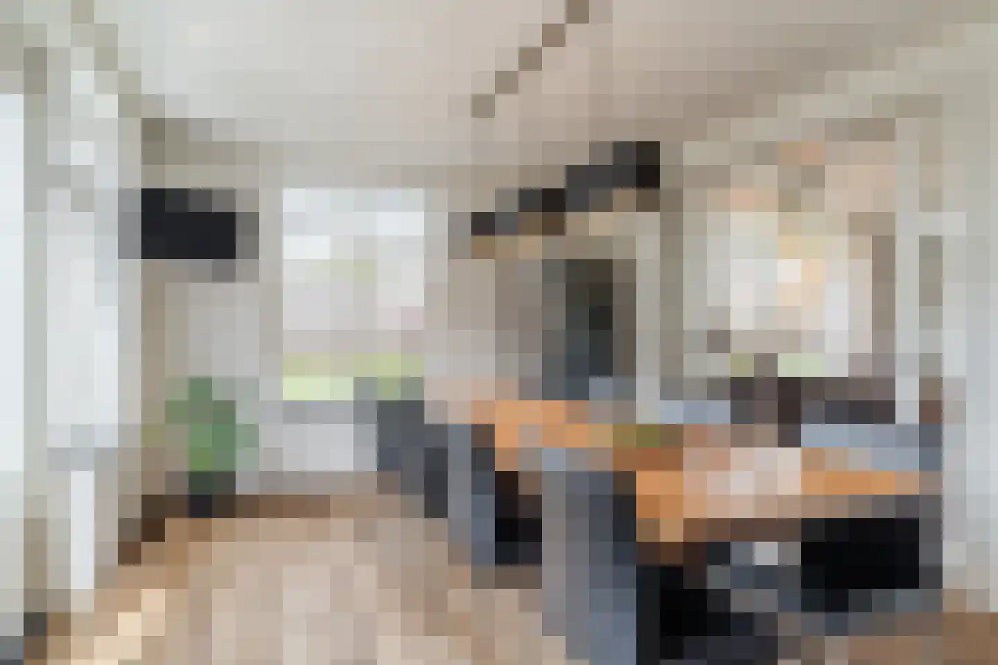 Standerdmolen 2 Loosbroek thumbnail 5