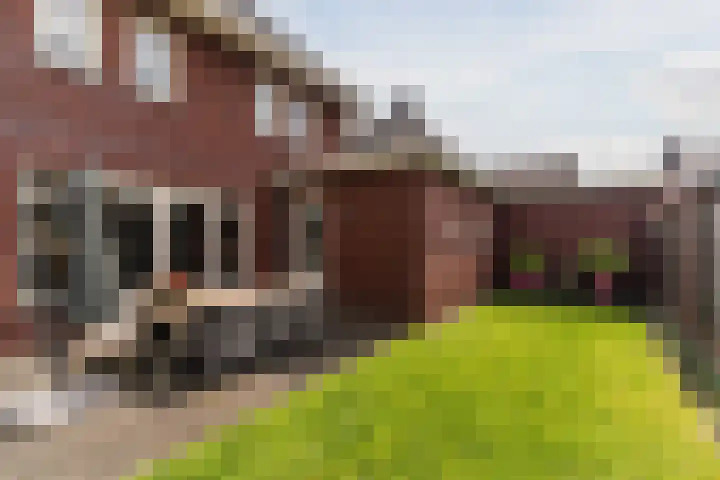 Standerdmolen 2 Loosbroek thumbnail 51