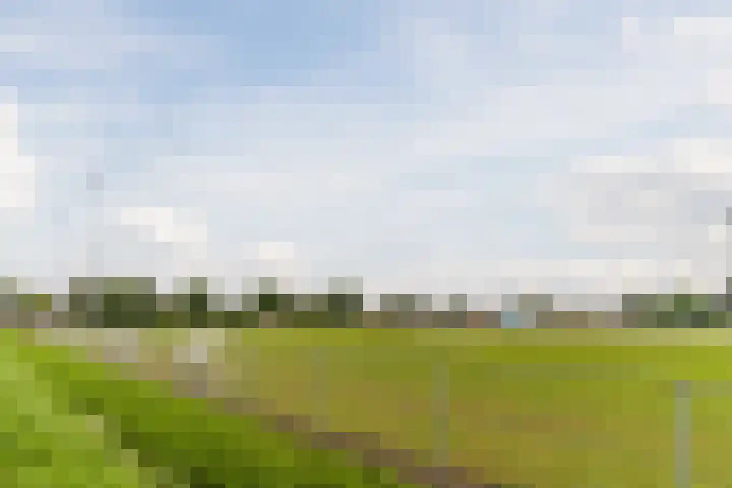 Standerdmolen 2 Loosbroek thumbnail 63