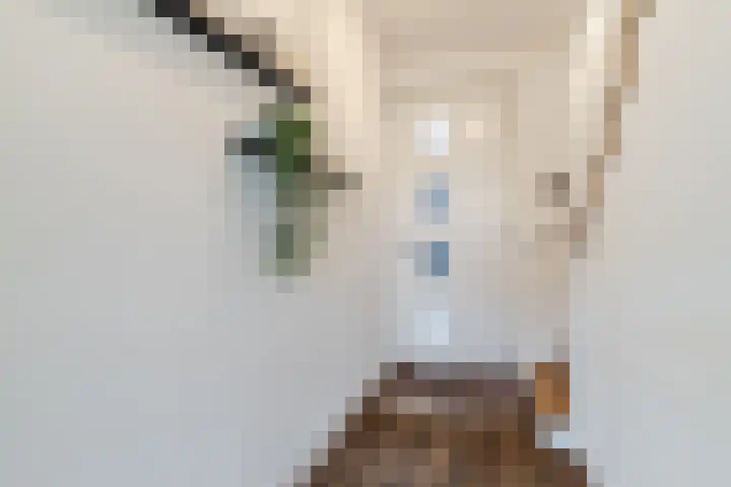 Standerdmolen 2 Loosbroek thumbnail 8
