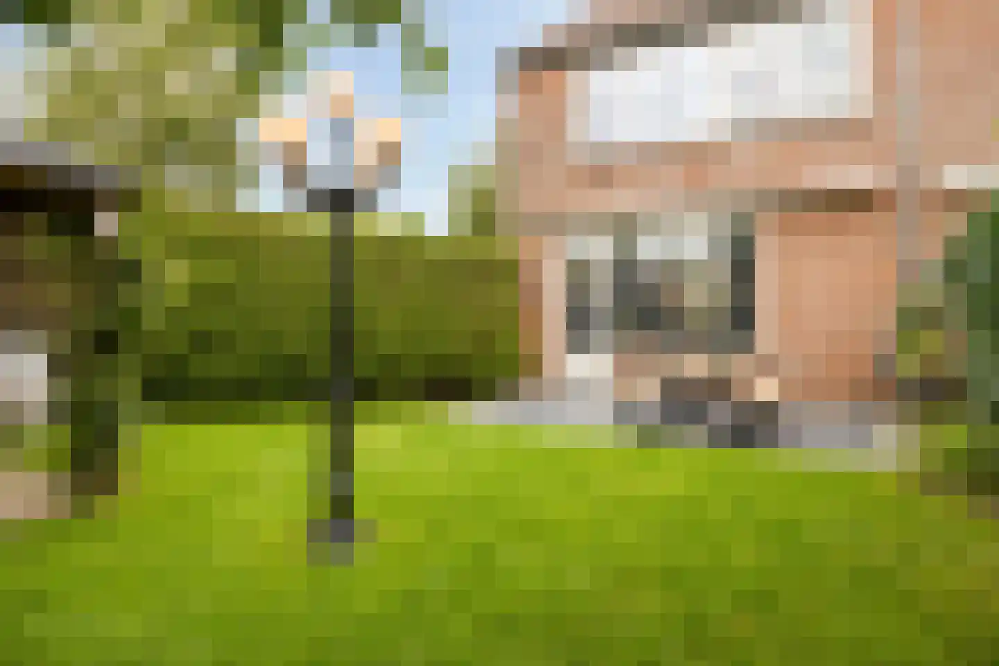 Standerdmolen 25 Puttershoek thumbnail 33