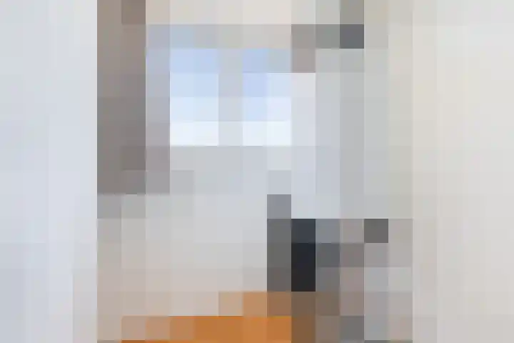 Standerdmolen 26 Harmelen thumbnail 30