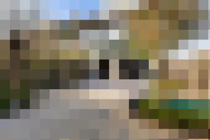 Standerdmolen 26 Harmelen thumbnail 34