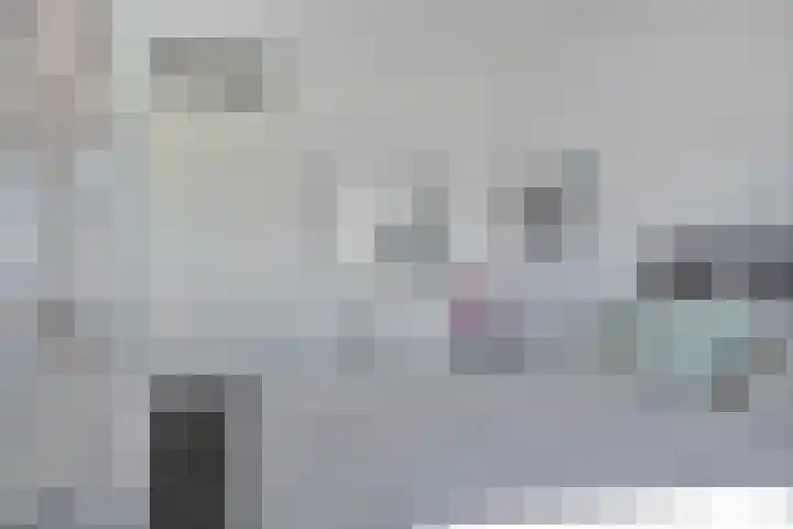 Standerdmolen 27 Gemert thumbnail 17