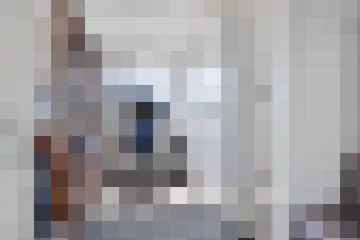 Standerdmolen 27 Gemert thumbnail 18