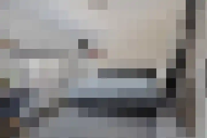 Standerdmolen 27 Gemert thumbnail 24