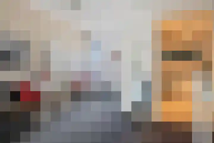 Standerdmolen 27 Gemert thumbnail 27