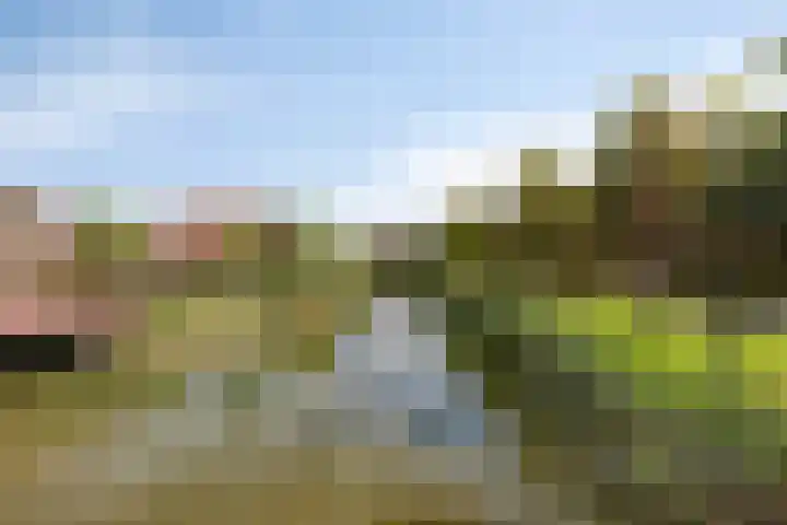 Standerdmolen 27 Gemert thumbnail 28