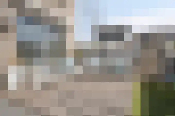 Standerdmolen 27 Gemert thumbnail 31
