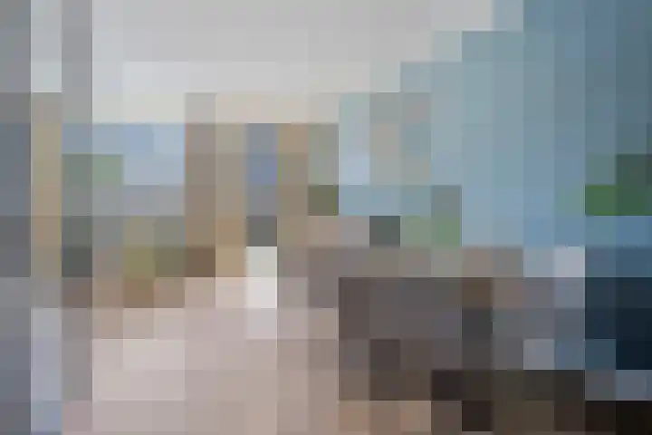 Standerdmolen 27 Gemert thumbnail 4