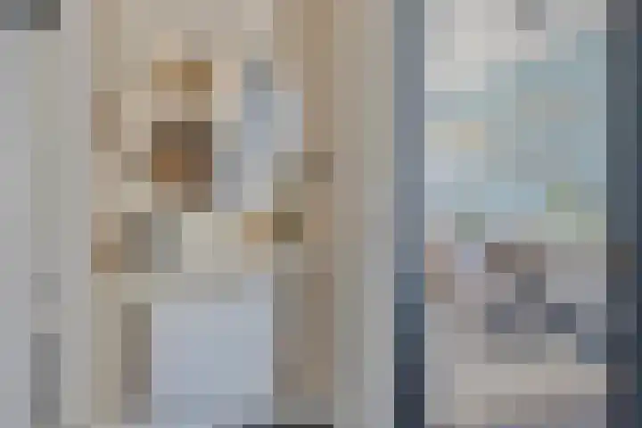 Standerdmolen 27 Gemert thumbnail 7