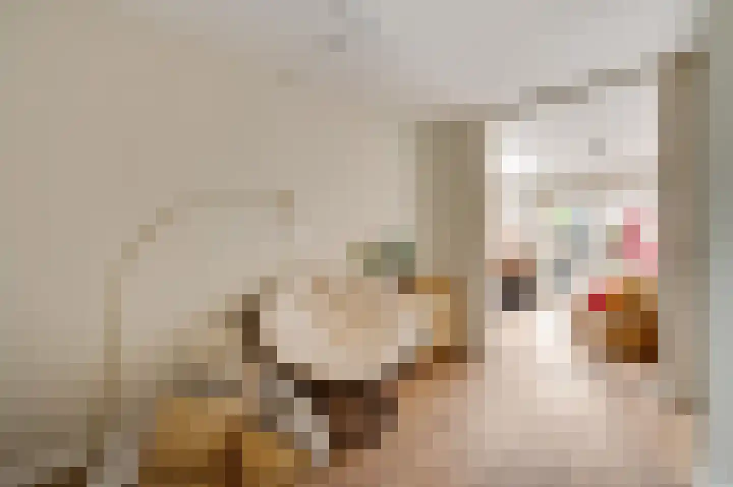 Standerdmolen 28 Herten thumbnail 10
