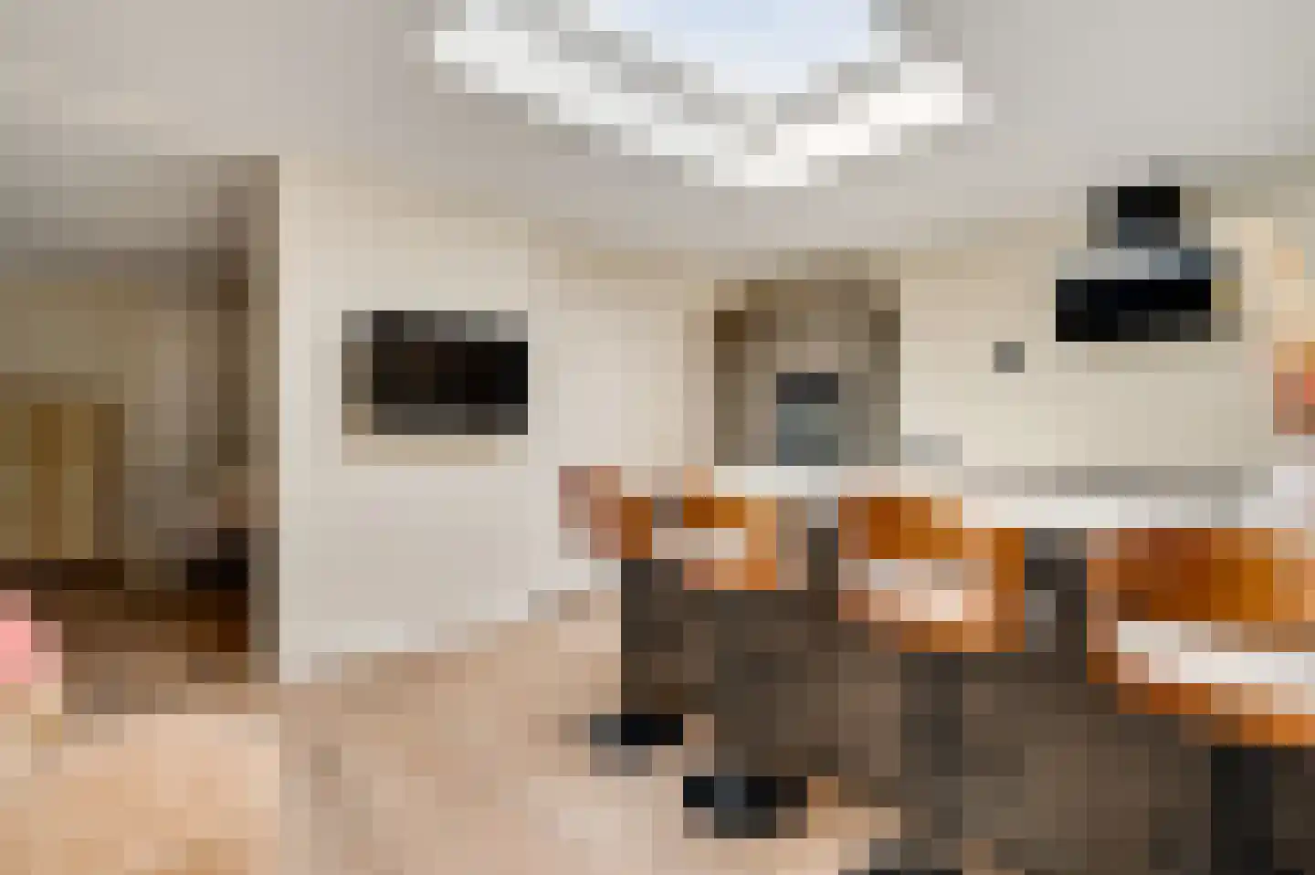 Standerdmolen 28 Herten thumbnail 13
