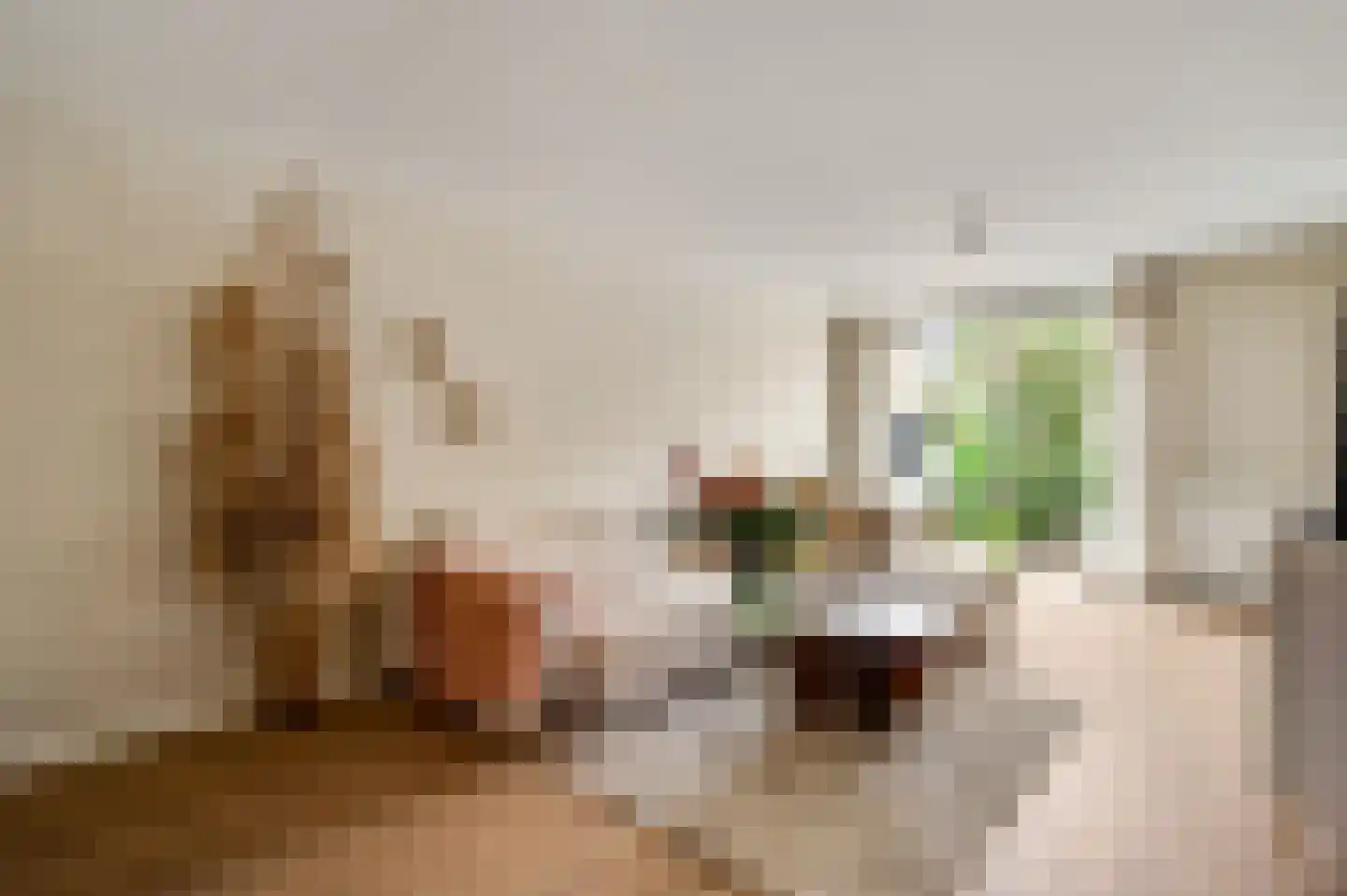 Standerdmolen 28 Herten thumbnail 8