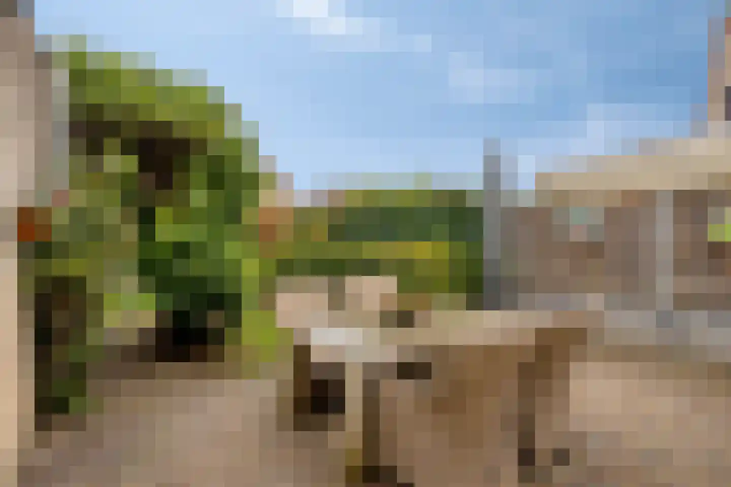 Standerdmolen 38 Herten thumbnail 30