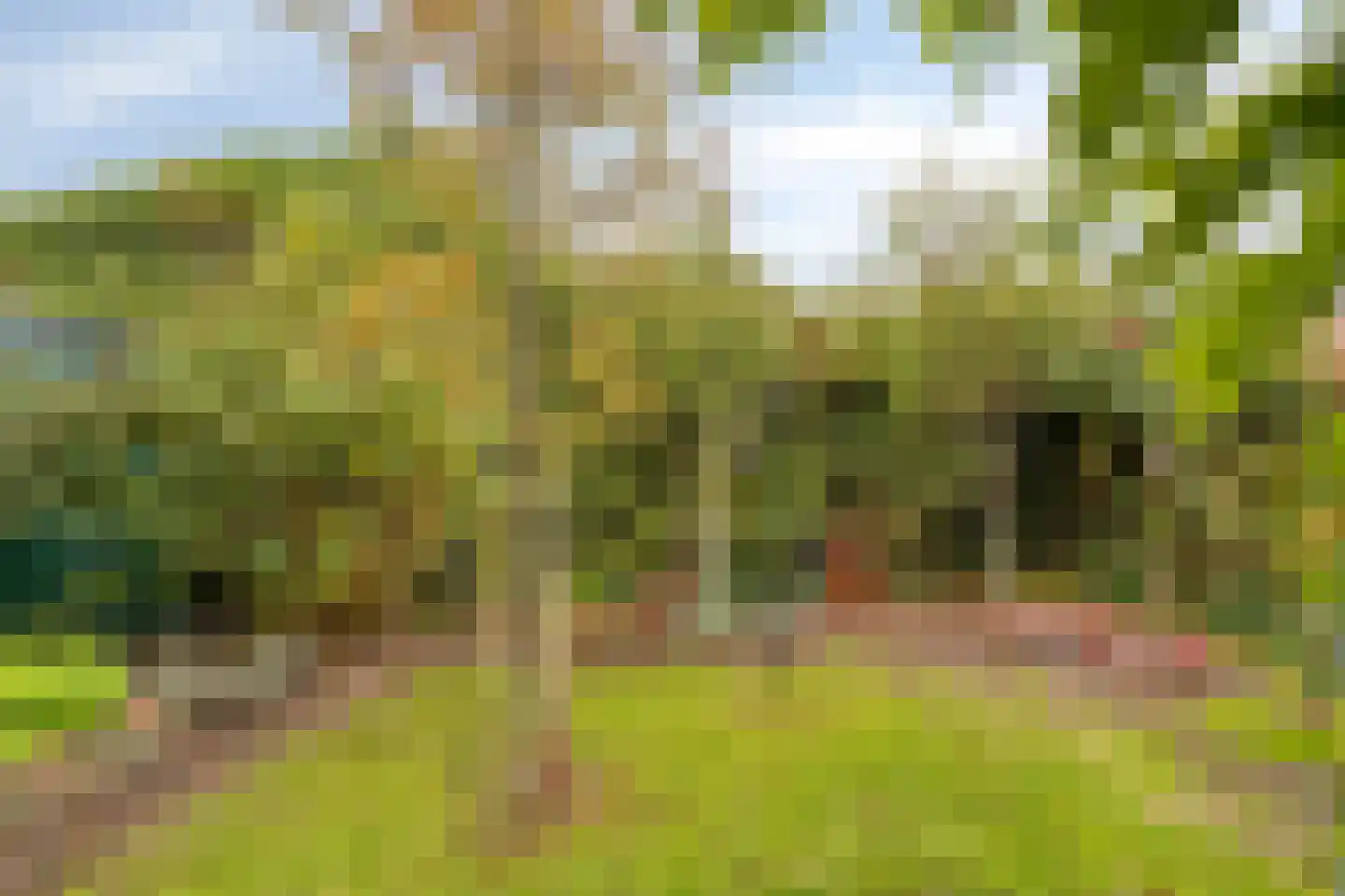 Standerdmolen 38 Herten thumbnail 32