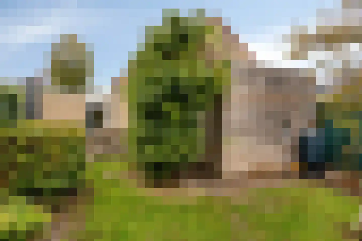 Standerdmolen 38 Herten thumbnail 34